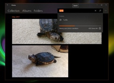 В стандартном каталоге фотографий для Windows 10 появится поиск на базе ИИ