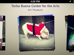 Приложение «Яндекса» для поиска в соцсетях закрылось через шесть дней после выхода