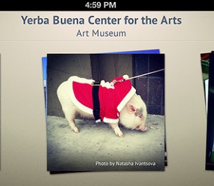 Приложение «Яндекса» для поиска в соцсетях закрылось через шесть дней после выхода