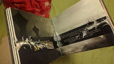 Издание The Elder Scrolls спасло геймера от настоящего огнестрельного выстрела