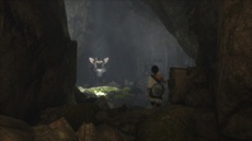 Дизайнер The Last Guardian не ожидал, что разработка затянется на столько лет