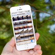 Новый патент Apple описывает систему фокусировки камеры