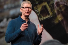 Тим Кук увидел iPhone на картине, написанной 346 лет назад