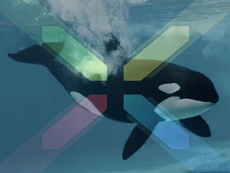 У аппаратов Nexus тоже есть тематические кодовые обозначения