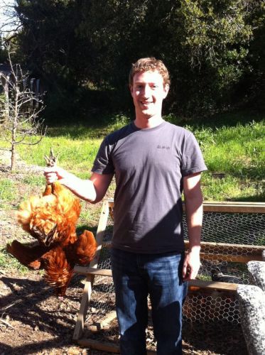 zuck-chicken.jpg