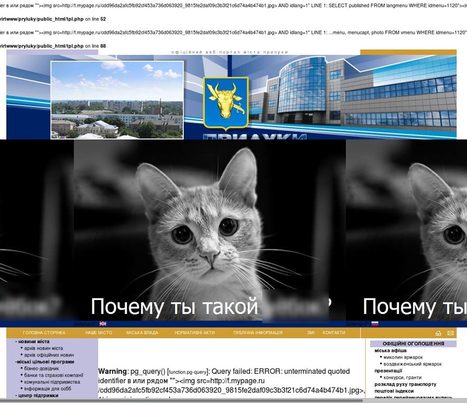 44857150_262651341259796_2455844437083815936_n.jpg (320 KB)