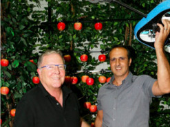 Дроны для сбора фруктов разработали в Израиле