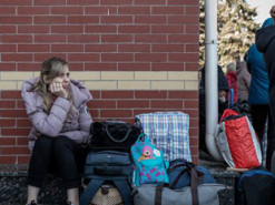 В Україні запустили чат-бот з питань евакуації: подробиці