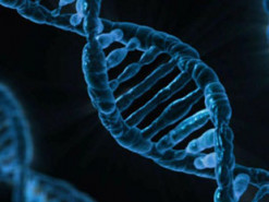 Компьютер научился находить повреждения в ДНК