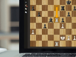 Шахматы. Ведущие украинские гроссмейстеры проведут благотворительный онлайн-марафон