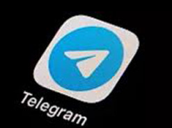 Провідні українські університети забороняють Telegram: що сталося