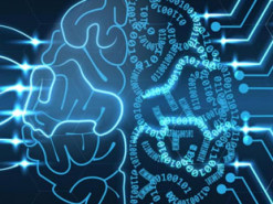 Искусственный интеллект на основе данных предсказал вспышки холеры