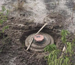 Шестеро мешканців громади на Харківщині загинули через міни