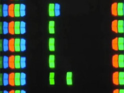 Знадобиться мікроскоп: програміст розробив найменшу версію гри Snake, використовуючи субпікселі