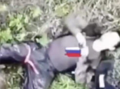 Українські хакери розмістили на ворожих сайтах відео з правдою про війну