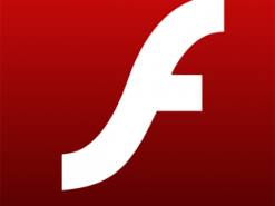 Со всех государственных сайтов США требуют удалить Flash