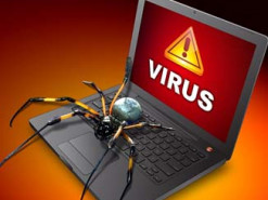 Студент заплатит штраф за создание и распространение вредоносного ПО