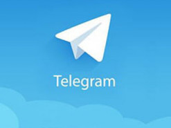 Telegram заблокировал и запасной канал лукашистов