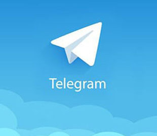 Telegram заблокировал и запасной канал лукашистов