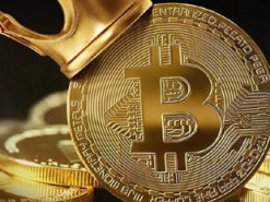 В Индии арестовали помогавшего покупать наркотики за биткоин «криптокороля»