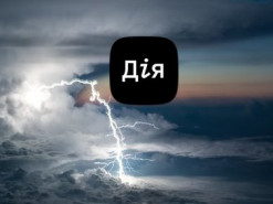 Облачный провайдер De Novo расследовал причины сбоя приложения "Дія" 