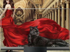 В прозрачном телевизоре Xiaomi нашли битые пиксели