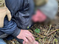 На Сумщині затримали двох держзрадників, які збирали дані для спецслужб РФ