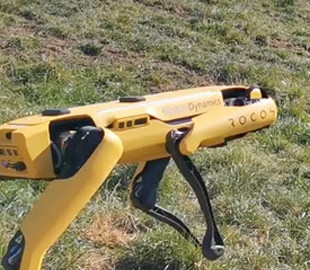 Четвероногий робот Spot станет помощником фермеров