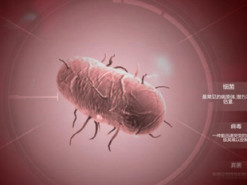 В Китае за нелегальный контент запретили симулятор эпидемий Plague Inc.