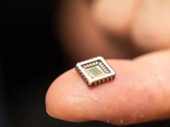 Ученые разработали электронные нейроны для мозга человека