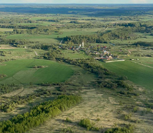 Медведєв привітав з "днем Росії" фотографією вирубаного лісу