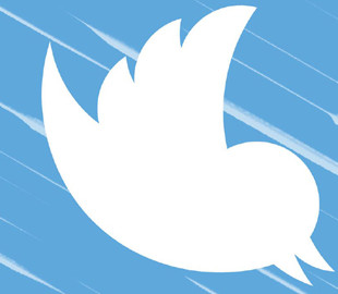 Франция предложила Twitter убежище на случай закрытия бизнеса в США