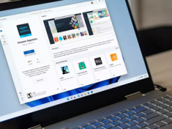 Windows XP всё ещё значительно популярнее Windows 11 по всему миру
