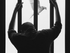 У Харкові завербований росіянами програміст із подільниками підірвали автівку українського захисника