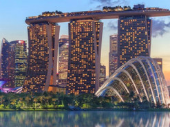 Сингапур готов выдавать цифровые лицензии