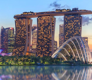 Сингапур готов выдавать цифровые лицензии