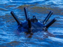 На Одещині чоловік підірвався на міні, купаючись у морі