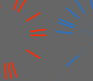 Квантовый процессор превратили во временной кристалл с упорядоченными собственными состояниями