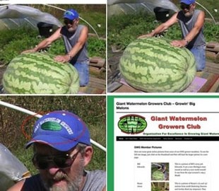 Заплутались у кавунах: МЗС проілюструвало новину про родючу Херсонщину фотографією із США