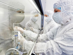 Прорыв в клонировании: ученые разработали гораздо более безопасный и экономичный метод