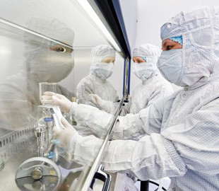 Прорыв в клонировании: ученые разработали гораздо более безопасный и экономичный метод