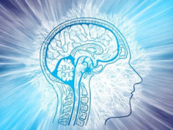 Цифровая эпоха: может ли интернет повлиять на работу человеческого мозга?