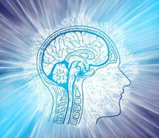 Цифровая эпоха: может ли интернет повлиять на работу человеческого мозга?