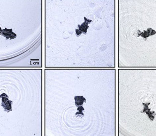 Учёные создали робота, который способен самостоятельно чиниться