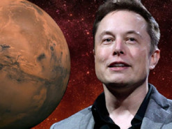 Microsoft и Amazon готовы спасти сотрудников Tesla от Илона Маска