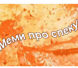 Гарячі жарти: Кращі меми про спекотну погоду в Україні