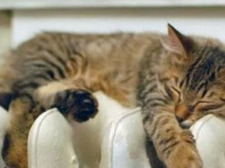 Відмовляються від дров та змінюють лампочки: як українці готуються до опалювального сезону