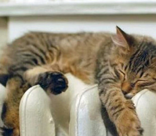 Відмовляються від дров та змінюють лампочки: як українці готуються до опалювального сезону