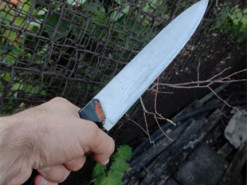 В Одесі чоловік ударив ножем сина через собак