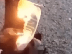 Выгнали из модельной школы: как наказали девушку из Каменского, которая сожгла флаг Украины